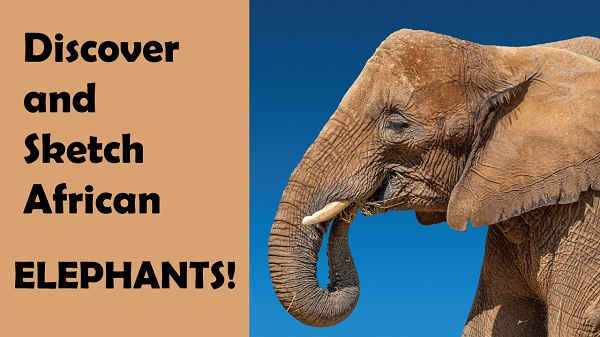African-Elephant-Day-Event-Header-web