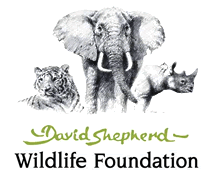 David Shepherd Wildlife Foundation logo