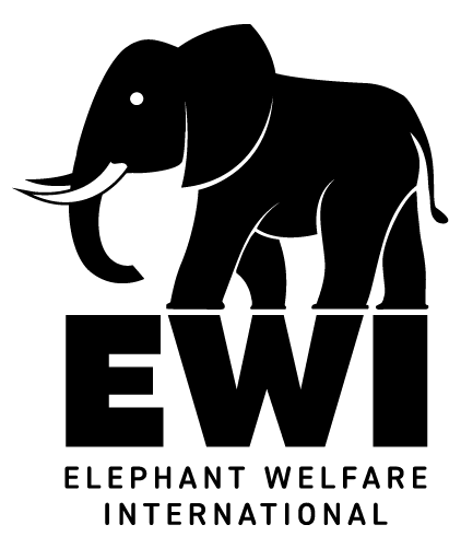 Elephant Welfare International logo