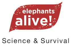 Elephants Alive logo