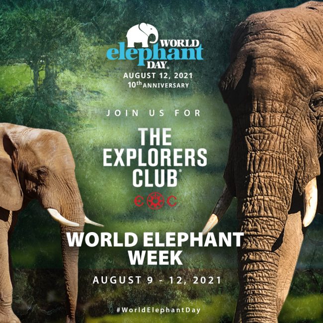 World Elephant Day