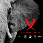 Ivory Free Canada logo with elephant