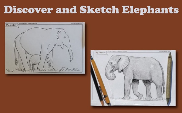 discover-and-sketch-elephants-blog-header