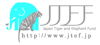 Japan Tiger and Elephant Fund logo