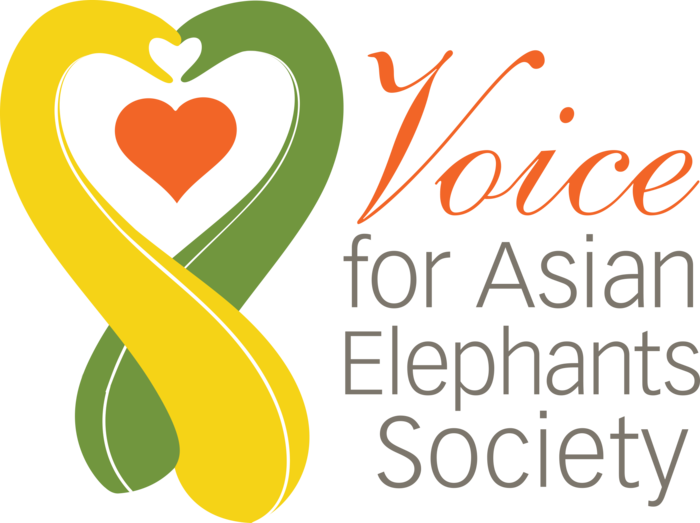 Voice for Asian Elephants Society logo