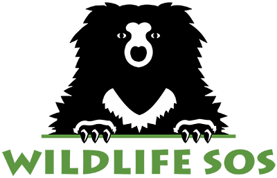 wildlife-sos-logo